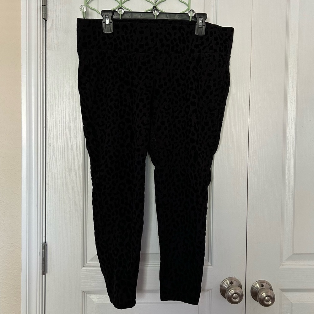 🆕Torrid Pixie Pants